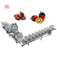 Groenten En Fruit Verwerken Suikerrietspray Reiniging Kokosvlees Wasmachine