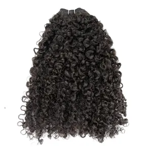 12A Natural Raw Burmese Curly Hair Unprocessed Cuticle Aligned Water Wave Deep Curly 20 22 24 Inch Kinky Curly Bundles