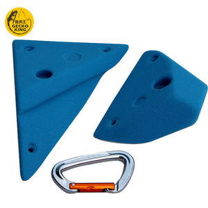 Matériaux de haute qualité en gros, tels que des prises d'escalade lumineuses et en fibre de verre pour adultes, Speed Earth Tones - Product Image 2