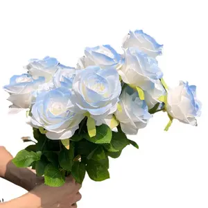 Kualitas Terbaik diskon besar Ekuador mawar Explorer bunga segar alami potongan batang panjang mawar untuk pernikahan