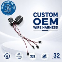 Câble d'écran LCD personnalisé, câble d'alimentation audio