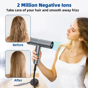 Professional Ionic Hear Dryer Hair Salon Ion Dryer Travel Hair Dryer With Diffuser