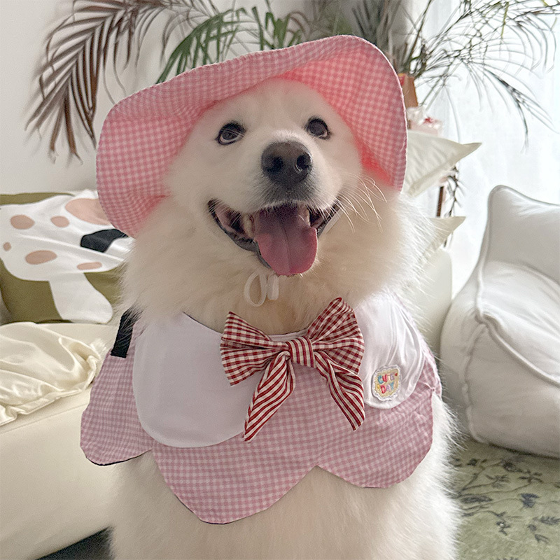 Chapeau à carreaux rose