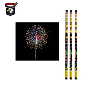 Feuerwerk Design und Produktion Hong Kong 1 Zoll 5 Bälle Sortiment Farbige Zauber kugeln Römische Kerze Feuerwerk Kuchen Feuerwerk