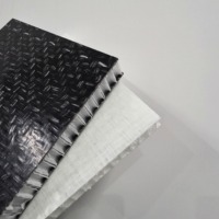 Panneau composite sandwich en nid d'abeille en plastique PP en fibre de verre haute pression pour raquettes de pickleball