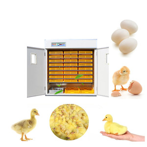 New Design Commercial Best Fully Automatic Egg Incubator Chicken Egg Incubator Made in China - Product Image 4