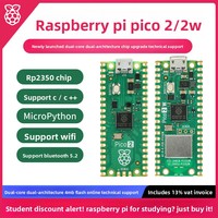 Kit de Programación MicroPython para la Placa de Desarrollo Raspberry Pi Pico 2