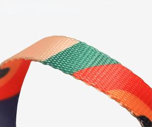 Produsen Grosir Tali Kekang Kucing dan Set Kekang Hewan Peliharaan Perjalanan Luar Ruangan Tali Hewan Peliharaan Dapat Disesuaikan untuk Persediaan Hewan Peliharaan Anjing Kucing Kecil - Product Image 3