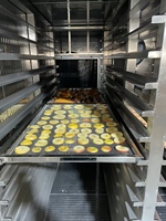 Industriële elektrische PLC-pomp droogruimte voor verse fruit/groenten/vis, 2026 QD, SUS304 materiaal