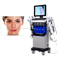 Appareil de beauté professionnel Hydra Dermabrasion 14 en 1 pour soins du visage, peeling aquatique, machine à hydrogène