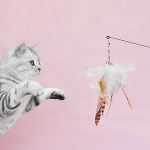 Nouveauté 2026 : Jouet interactif pour chat à ventouse avec tête en plumes, stimulant l'instinct de chasse naturel du chat, pour l'interaction et la stimulation du mouvement des animaux de compagnie - Product Image 5