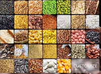 Humidimètre numérique portable pour céréales, analyseur d'humidité des cultures LCD pour le maïs, le riz, le blé, les grains de café
