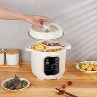 Casserole électrique multifonctionnelle en plastique pour hôtel et maison, cuiseur lent automatique 3L, cuisson à micro-pression écoénergétique