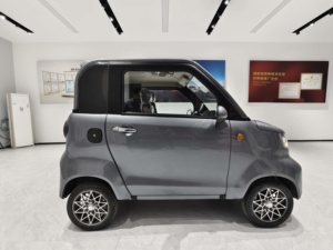 Petit <span class=keywords><strong>tricycle</strong></span> <span class=keywords><strong>électrique</strong></span> avec moteur de 3000W, portable et capable de transporter des charges, 4 places pour adultes, d'<span class=keywords><strong>occasion</strong></span> en Tanzanie - Product Image 3