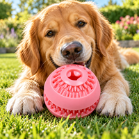 Jouet à mâcher pour chien en TPR, boule distributrice de friandises, jouet interactif pour animaux de compagnie, jouet de puzzle pour animaux de compagnie, boule de nettoyage des dents pour chiens