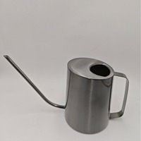 DD4548 arrosoir moderne en acier inoxydable de grande capacité 1.6L avec pot d'arrosage à longue bouche oblique