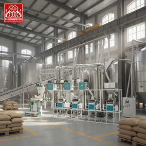 Offre Spéciale : Projet Clé en Main pour Usine de <span class=keywords><strong>Farine</strong></span> de Blé / Machine <span class=keywords><strong>Complète</strong></span> pour la Production de <span class=keywords><strong>Farine</strong></span> de Blé et Équipement de Traitement des Céréales - Product Image 4