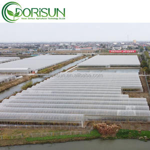 Grande arche de serre à portée unique facile à installer pour les plantes en matériau PE - Product Image 5