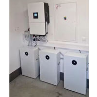 Deye RW-F16 LiFePO4 Lithium-Batterie 15 kW 16 kW Deye 51,2 V 314 Ah 15 kWh 16 kWh Solar-Speicherbatterie mit Deye Hybrid-Wechselrichter