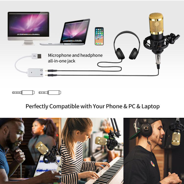 Professional Studio Recording Microphone BM 800 Voice Condenser Mic