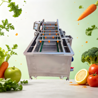 Automatische Fruit- en Groente Nano-Bubbel Reinigingsmachine Motor-Eco-Friendly JinglongBrand 3000W Groenteverwerkingsinstallatie Maïs