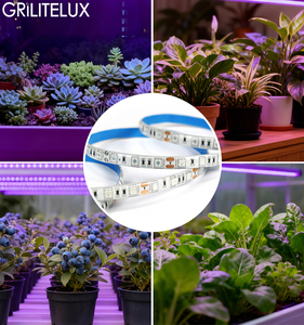 Bande lumineuse pour la croissance des plantes, 60 LED/m, DC12V, PCB 10mm, IP20/IP65, 12-14W/m, 660nm rouge, 450nm bleu, double spectre, ruban LED pour la croissance des plantes - Product Image 6