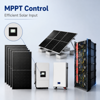 Sistema Solar Híbrido Completo de 5kW 10kW 20kW 30kW con Inversor Solar MPPT y Almacenamiento de Batería