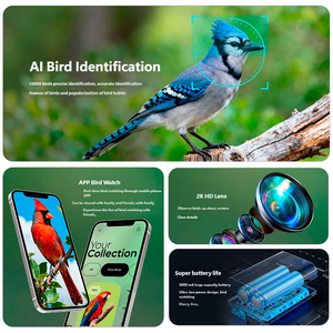 Comedero Inteligente para Pájaros con Cámara 2K HD, Reconocimiento de Aves por IA, Energía Solar, para Exteriores, Gran Venta - Product Image 5