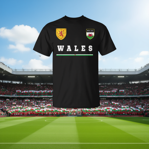 Maillot de football du Pays de Gal, t-shirt noir avec design drapeau et d'héraldique pour les fans de football - Product Image 3