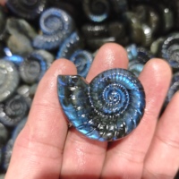 Vente en gros de pierres de guérison en cristal naturel de haute qualité, sculptées à la main, créatives, en labradorite et ammonite fossile, pour la décoration