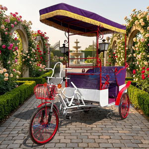 Tricycle électrique à pédales, style calèche vintage, cadre en acier, design personnalisable, garantie 1 an - Product Image 1