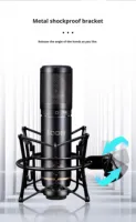 Microphone à condensateur à large diaphragme professionnel ICON LD-1/LD-2, XLR, métal, cardioïde, antibruit, diffusion en direct