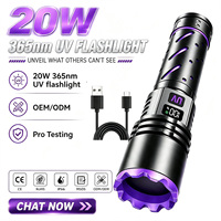 Lampe torche UV portable 20W rechargeable USB-C au lithium 365nm, étanche IP66 en alliage d'aluminium pour camping, détection d'urine canine et de jade