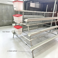 Système de collecte automatique d'œufs pour cages en batterie de type poulailler, projet clé en main 3/4 niveaux pour le Nigéria
