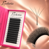 Extensions de cils individuels en forme de W 3D-8D, faux cils 3D 4D 5D 9D 10D, cils trèfle, extensions de cils marque privée