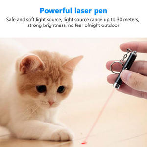 2-in-1 thân thiện với môi Led Con trỏ laser và đèn pin mini xách tay Red Cat laserpointer với Keychain vui vẻ LED ánh sáng mèo đồ chơi - Product Image 2