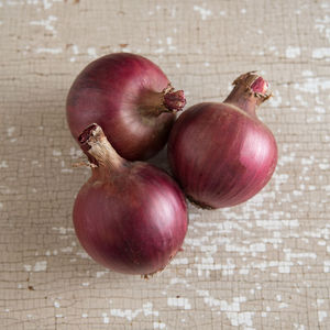 Prix du produit frais de bonne qualité nouvel approvisionnement anneau d'<span class=keywords><strong>oignon</strong></span> de légumes <span class=keywords><strong>surgelés</strong></span> IQF - Product Image 6