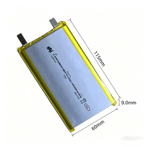 Vendita Diretta dalla Fabbrica: Batteria al Litio Polimero 9065115 10000mAh 3.7V per Elettronica di Consumo, Power Bank, Illuminazione Stradale e Alimentazione di Backup - Product Image 1