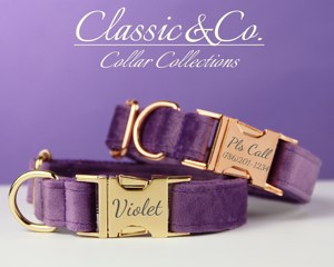 ชุดปลอกคอและสายจูงสุนัขสีม่วงแบบปรับแต่งได้ พร้อมโบว์ลายดอกไม้ ป้ายชื่อสลักแบบเงียบ - ของขวัญสำหรับลูกสุนัขในงานแต่งงาน (ขนาดเล็ก/กลาง/ใหญ่) - Product Image 2