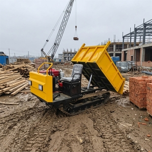 Camión Volquete de Orugas de Goma de 2 Toneladas Más Vendido con Descarga Hidráulica para Uso Agrícola, en Granjas y en Construcción - Product Image 3