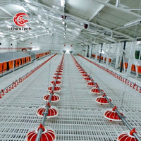 Equipo Automático para Línea de Alimentación de Aves de Corral, Sistema de Alimentación de Pollos con Transportador