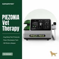 Máquina de Terapia de Ondas de Choque Kaphaphysio para Perros, Equipo de Rehabilitación de Fisioterapia Veterinaria para Clínicas de Animales