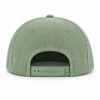 Casquette Snapback à visière incurvée de haute qualité, bicolore, 5 panneaux, avec logo brodé 3D personnalisé, en velours côtelé, style baseball