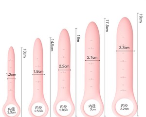 Groothandel Waterdichte Schaal Liniaal Roze Paarse Kont Plug Anale Vrouwelijke Siliconen Volwassen Speelgoed Voor Anaal Spelen