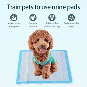 Tapis d'apprentissage jetables pour chiens All-Absorb, 120 unités, fournitures d'entraînement premium pour animaux de compagnie - Product Image 2