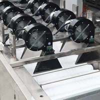Industriële citroenverwerkingsinstallatie automatische groente- en fruitreinigingsmachine 304 roestvrij staal verse citroenlijn