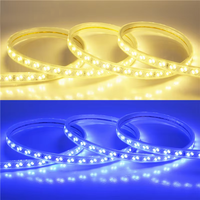 Guirlandes lumineuses LED intelligentes haute tension pour extérieur, double rangée, triple rangée, étanches 12 mm IP65, tricolores