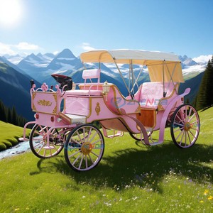 Charrette à Chevaux Électrique de Luxe et Haut de Gamme pour Visites Touristiques, Fabrication Chinoise - Product Image 1