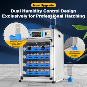 Incubadora Automática para 350 <span class=keywords><strong>Huevos</strong></span> de Gallina, Máquina para Incubar <span class=keywords><strong>Huevos</strong></span> de Aves de Corral para Uso en Granjas - Product Image 2