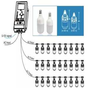 Lámpara para Granja Avícola con Casquillo <span class=keywords><strong>E27</strong></span>, Iluminación para Gallineros, Bombilla para Mejorar la Producción de Huevos - Product Image 5